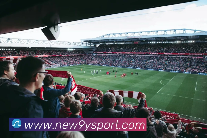 九游足球平台生态图