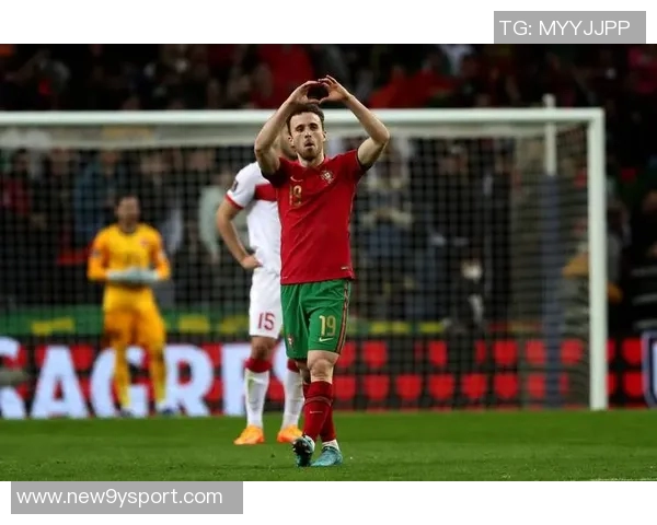 世界杯D组分析土耳其争夺晋级名额居莱尔与普利西奇对决